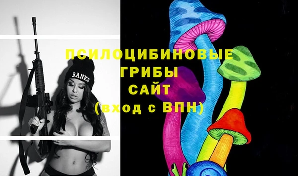 метадон Михайлов