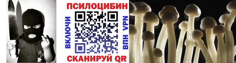 Галлюциногенные грибы GOLDEN TEACHER  OMG сайт  Торопец 